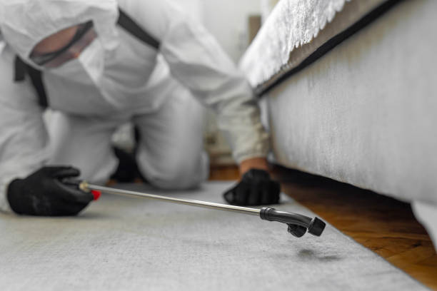 Professional Bed Bug Control technician working in Great Falls Crossing, VA