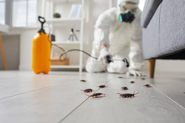Trusted Rodent Control service in Great Falls Crossing, VA - Nex Pest Control