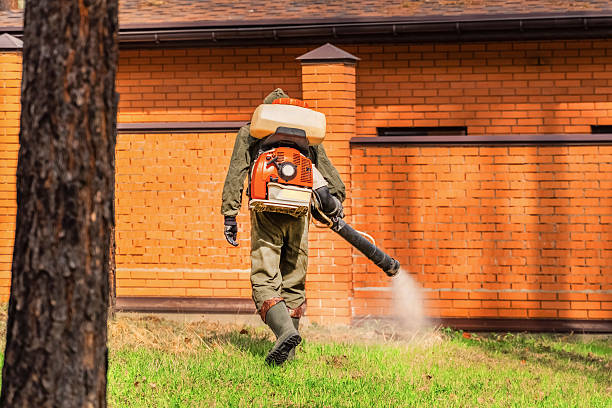 Trusted Emergency Pest Control service in Great Falls Crossing, VA - Nex Pest Control